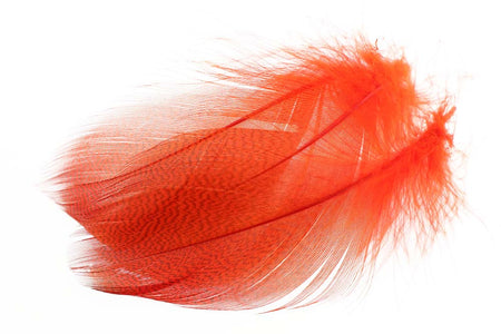 Du tilføjede <b><u>Gadwall Barred Flank - Fl.Fire Orange</u></b> til kurven.