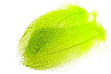 Du tilføjede <b><u>Gadwall Barred Flank - Fl. Chartreuse</u></b> til kurven.