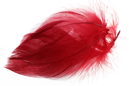 Du tilføjede <b><u>Gadwall Barred Flank - Red</u></b> til kurven.