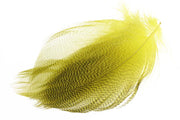 Mallard Duck Flank Large Selected - Mayfly Yellow