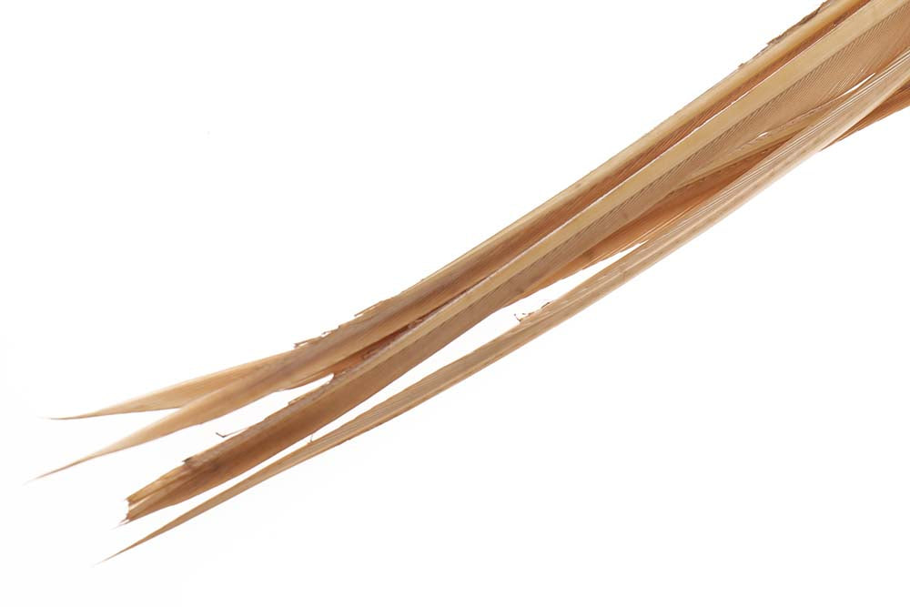 Turkey biots - Tan