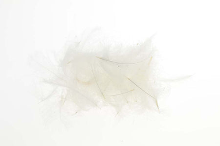 Du tilføjede <b><u>Flyco Cul De Canard - White</u></b> til kurven.