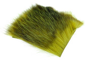 US Opossum - Golden Olive