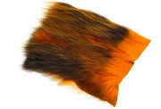 US Opossum - Orange