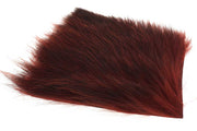 US Opossum - Fiery Brown (Phatakorva)