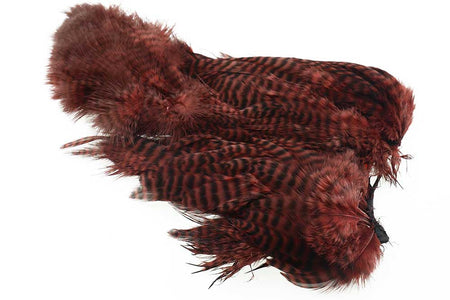 Du tilføjede <b><u>Brown Grizzly Body Marabou Patch</u></b> til kurven.