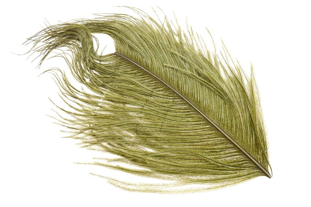 XL Struds Herl - Olive