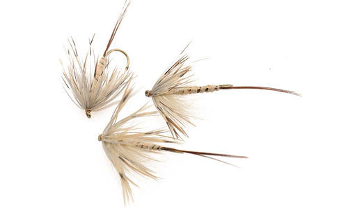 Du tilføjede <b><u>French Partridge</u></b> til kurven.