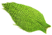 Whiting American Rooster Cape - Grizzly Chartreuse