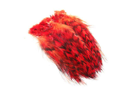 Du tilføjede <b><u>Hane Hackler Grizzly - Red</u></b> til kurven.