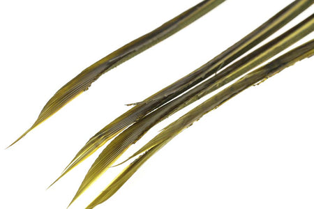 Du tilføjede <b><u>Goose Biots - Lt.Olive</u></b> til kurven.