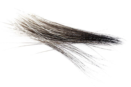 Du tilføjede <b><u>Moose Mane</u></b> til kurven.
