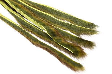 Du tilføjede <b><u>Pine squirrel - Oliven</u></b> til kurven.