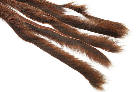 Du tilføjede <b><u>Pine squirrel - Rust</u></b> til kurven.