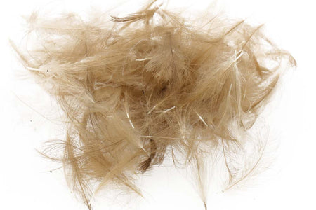 Du tilføjede <b><u>Swiss CDC Standard - Pardo 19</u></b> til kurven.