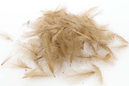 Du tilføjede <b><u>Swiss CDC Standard - Pale Pardo 18</u></b> til kurven.