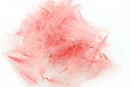 Du tilføjede <b><u>Swiss CDC Standard - Light Pink 30</u></b> til kurven.