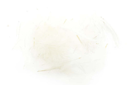 Du tilføjede <b><u>Swiss CDC Standard - White 1</u></b> til kurven.