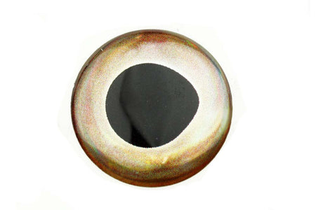 Du tilføjede <b><u>Living Eyes - Ice</u></b> til kurven.