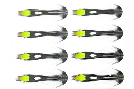Du tilføjede <b><u>Junglecock Sub. - Chartreuse</u></b> til kurven.
