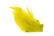 Ged - Golden