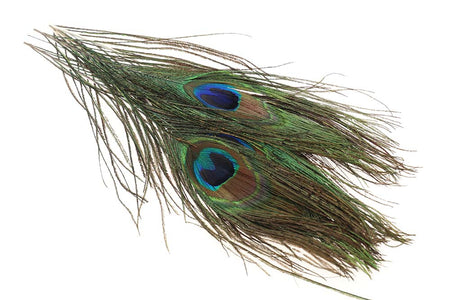 Du tilføjede <b><u>Peacock eye - Natural</u></b> til kurven.