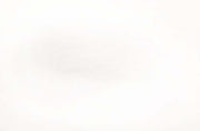 Streamer Head Dubbing - White