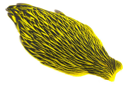Du tilføjede <b><u>Whiting American Hen Cape Black Laced - Yellow</u></b> til kurven.