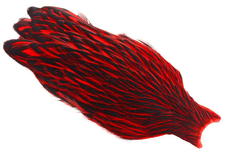 Du tilføjede <b><u>Whiting American Hen Cape Black Laced - Red</u></b> til kurven.
