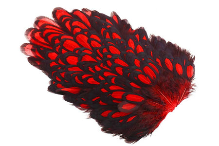 Du tilføjede <b><u>Whiting American Hen Saddle Black Laced - Red</u></b> til kurven.