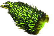 Whiting American Hen Saddle Black Laced - Fl. Green Chartreuse