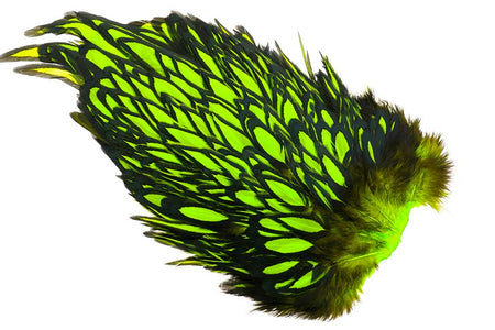 Du tilføjede <b><u>Whiting American Hen Saddle Black Laced - Fl. Green Chartreuse</u></b> til kurven.