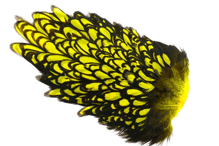 Du tilføjede <b><u>Whiting American Hen Saddle Black Laced - Yellow</u></b> til kurven.