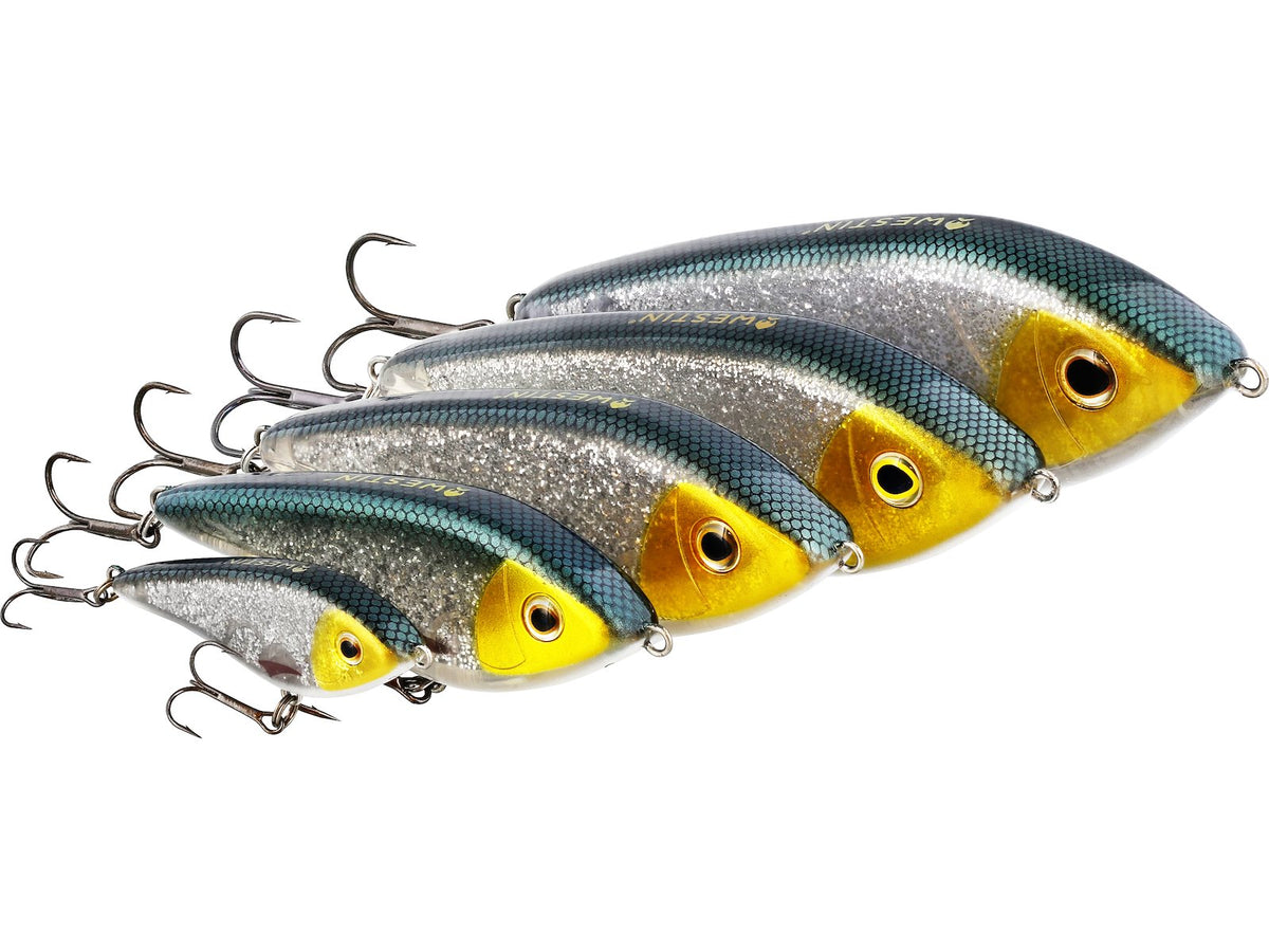 p036_swim-glidebait_headline.jpg