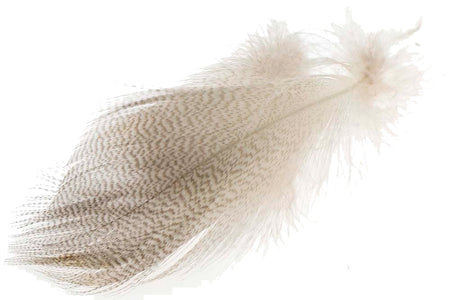 Du tilføjede <b><u>Mallard Barred Flank - Natur</u></b> til kurven.