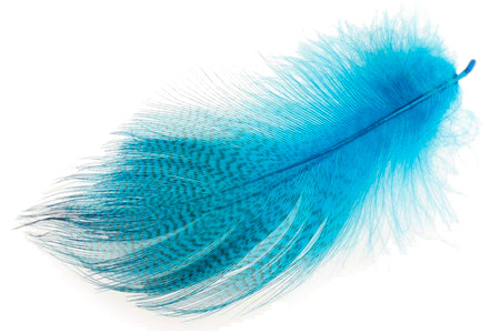 Du tilføjede <b><u>Mallard Barred Flank - Peacock Blue</u></b> til kurven.