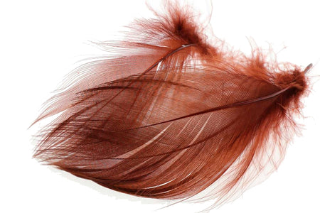 Du tilføjede <b><u>Mallard Barred Flank - Rusty Brown</u></b> til kurven.