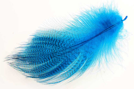 Du tilføjede <b><u>Mallard Duck Wing Large Selected - Peacock Blue</u></b> til kurven.