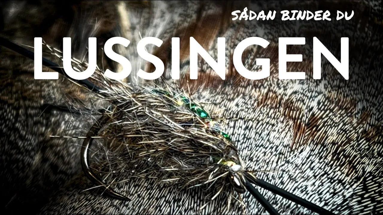 Lussingen