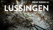 Lussingen