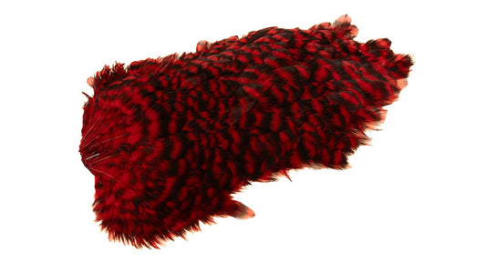 Du tilføjede <b><u>4 B's Hen Saddle Grizzly dyed Red</u></b> til kurven.