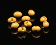 Spawn Slotted Tungsten Football Beads - 7.0 mm - Shrimp Peach