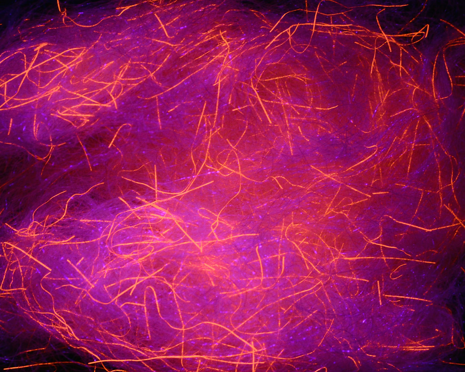 Spawn's UV Simi Seal Dubbing - Ghost Shrimp / UV Orange