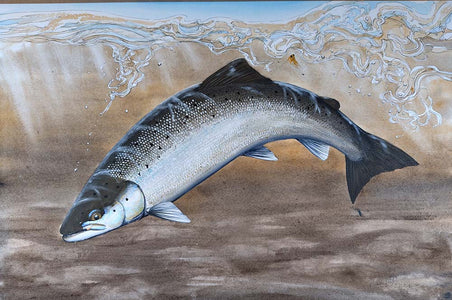 Du tilføjede <b><u>Thomas Weiergang original 61 x 41 - Spring Salmon</u></b> til kurven.
