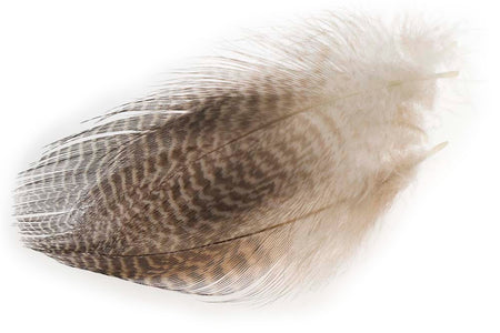 Du tilføjede <b><u>Teal Flank Feathers - Natural</u></b> til kurven.